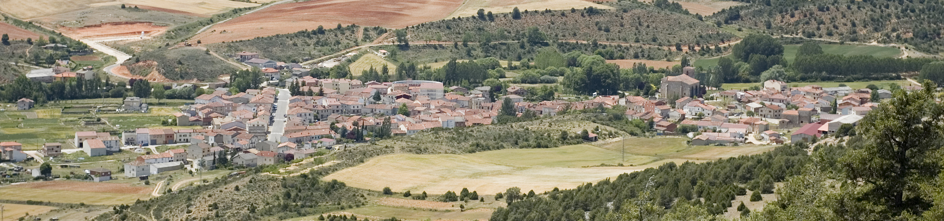Panorámica de Arauzo de Miel