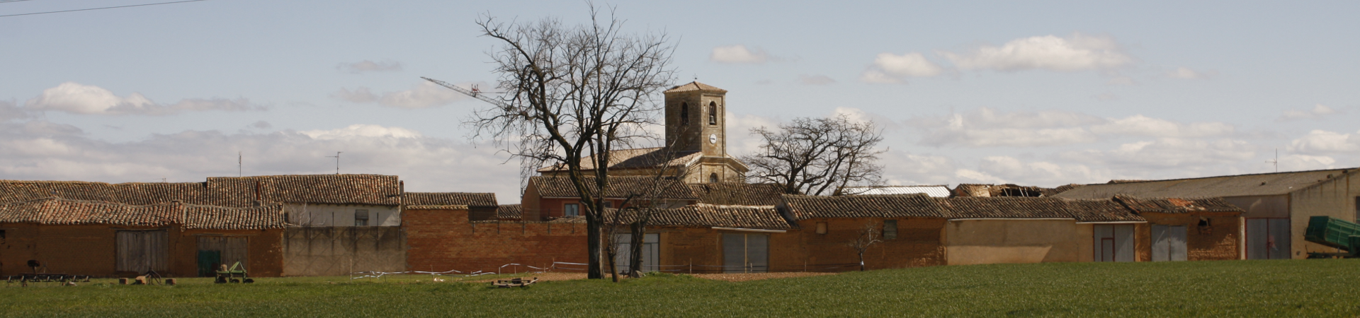 Vista campo