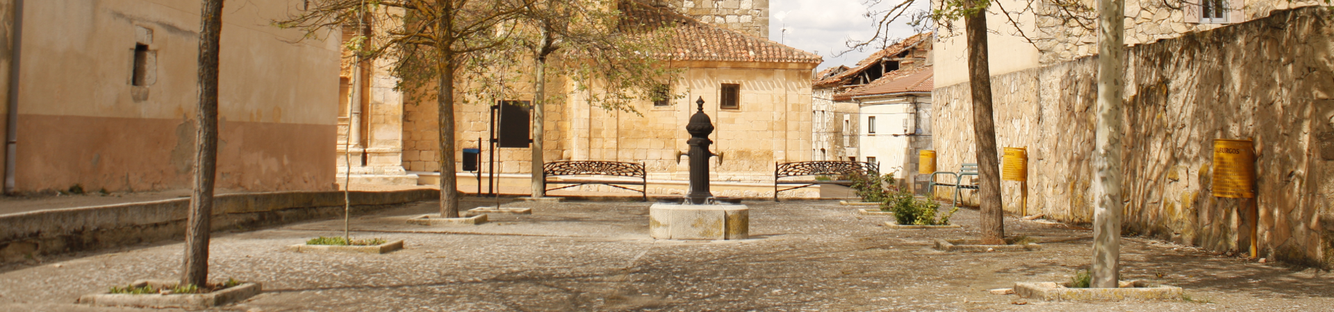 Parque