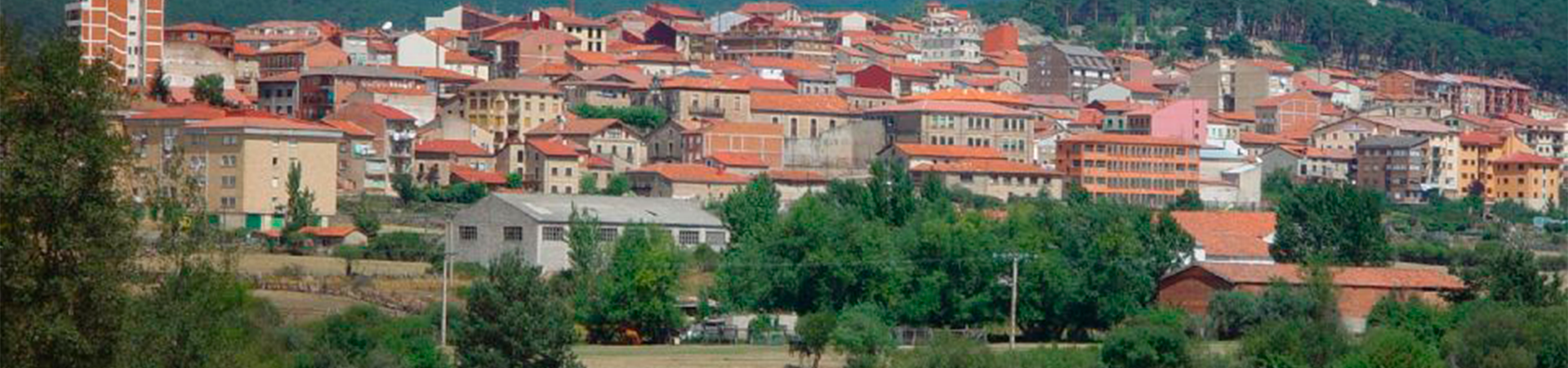 Vista campo