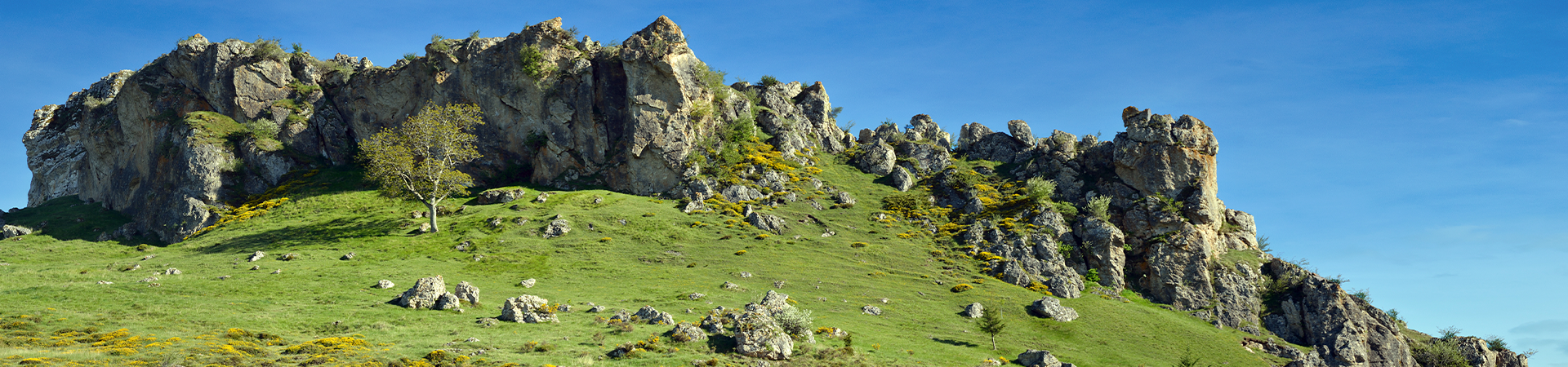 Alrededores campo