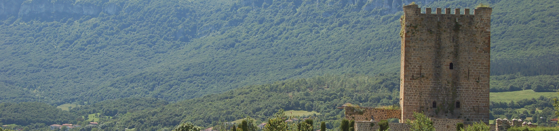 Vista campo