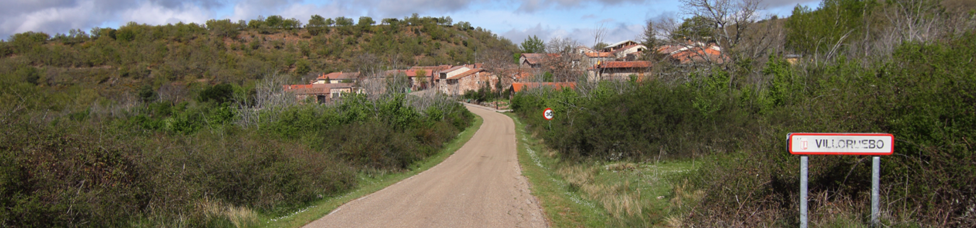 Camino
