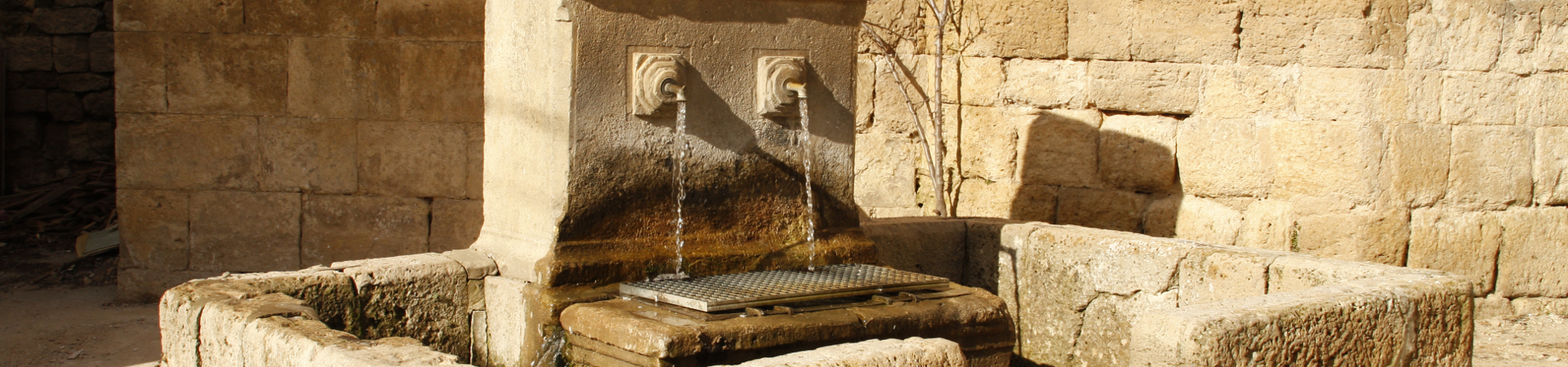 Fuente