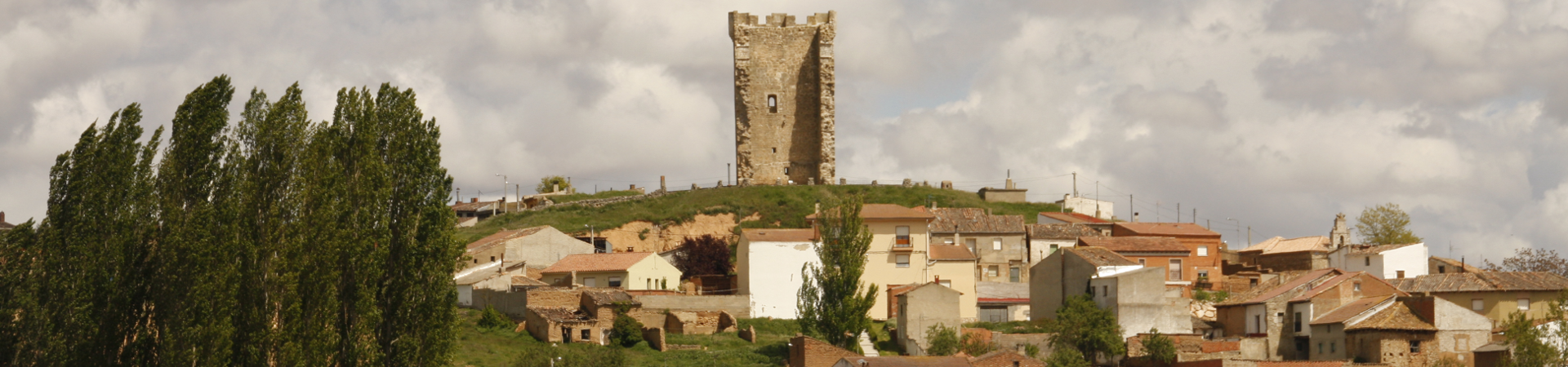 Torre