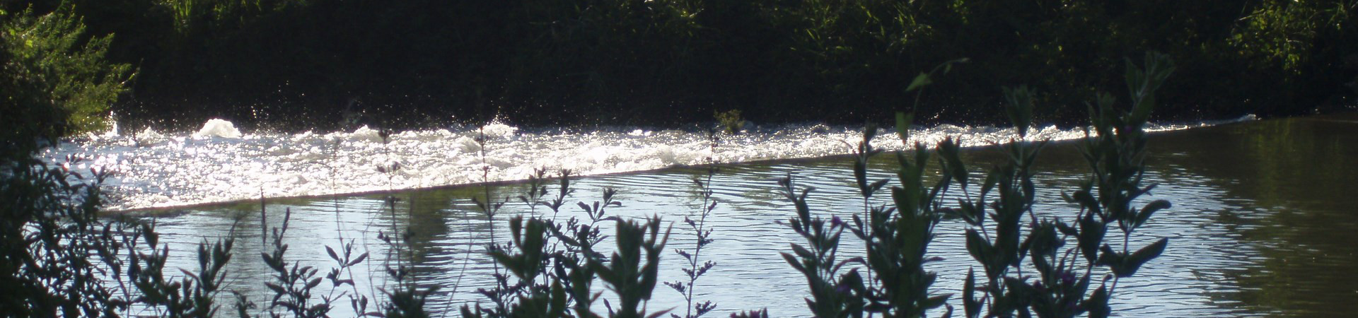 Agua