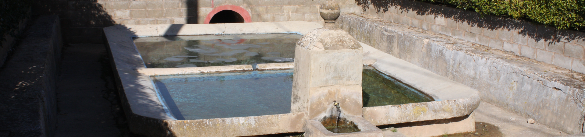 Fuente
