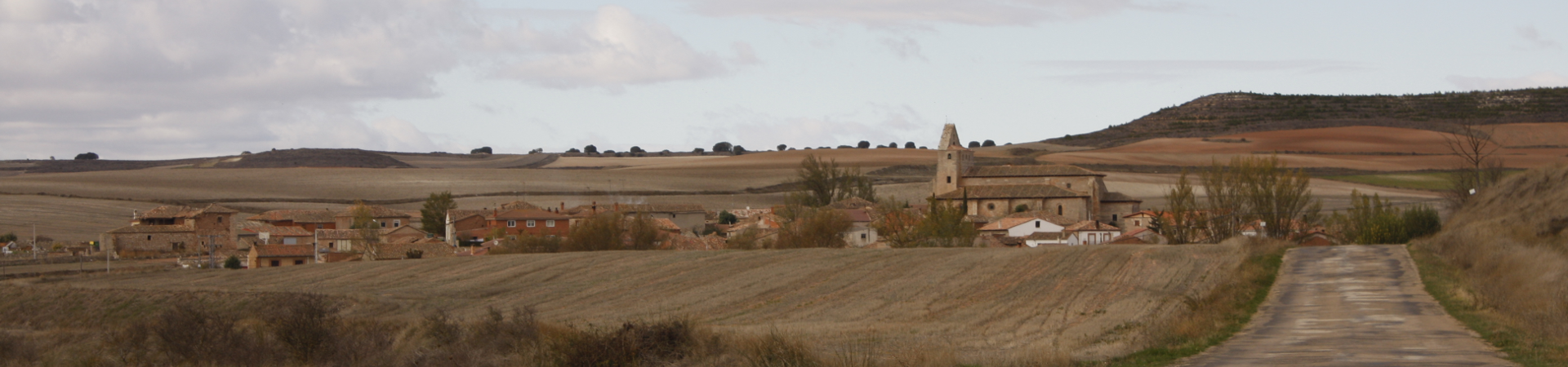 Campo