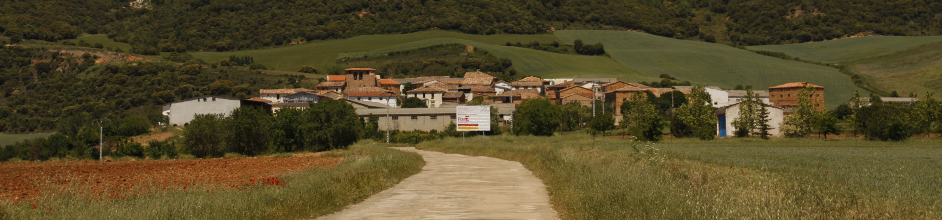 Camino