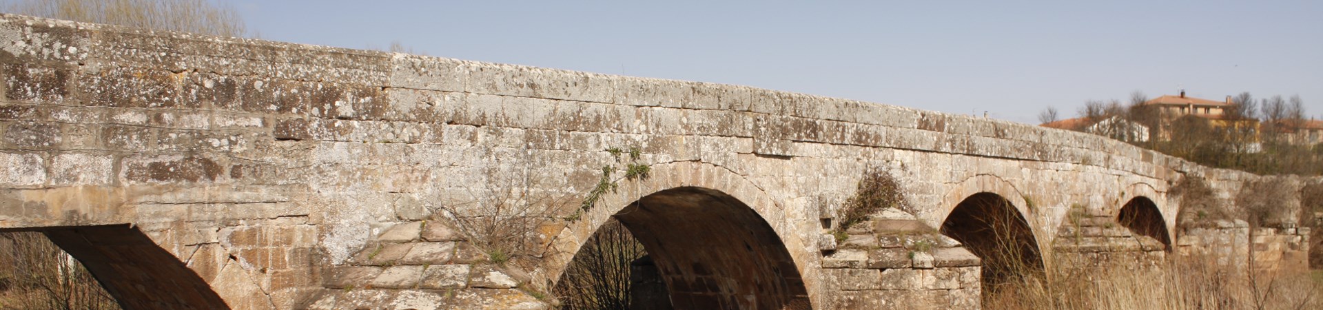 Fotografía de un puente con varios arcos